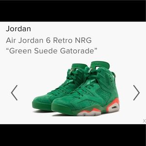 Air Jordan 6 retro: Jordan Gatorades size 8.5